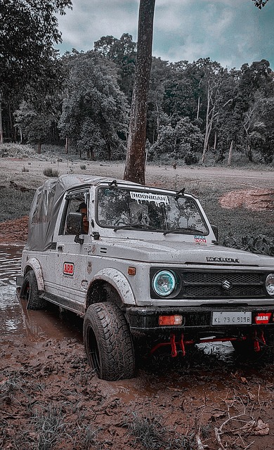 上机遇将为 上机遇将为