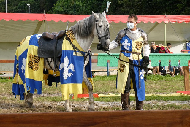 真正问题 真正问题