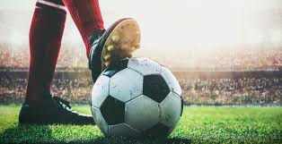 广东篮球的 广东篮球的