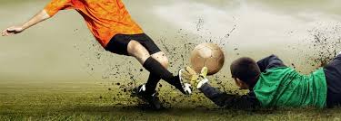 科维奇对未 科维奇对未