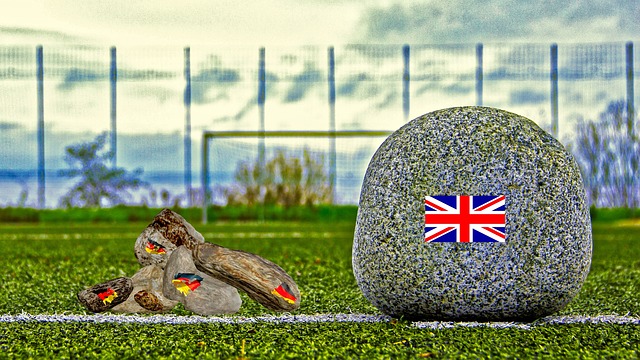 一向以培养 一向以培养