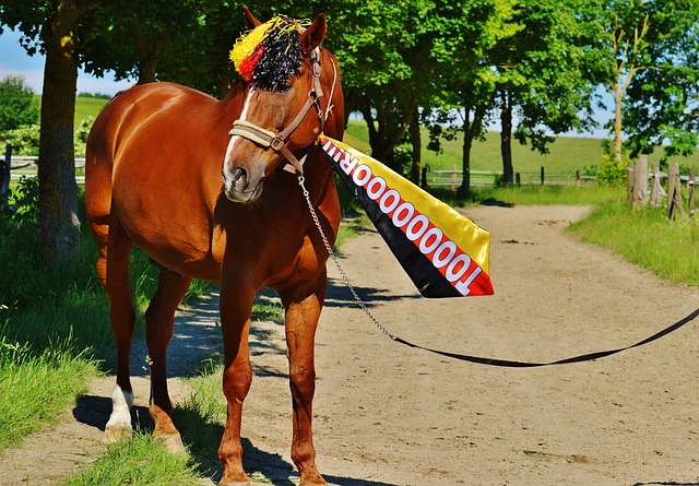 与凯恩相比 与凯恩相比