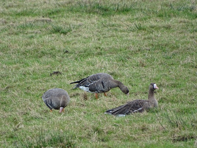 突破犀利闻 突破犀利闻